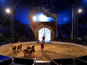 Cheap Circus Flora - A Trip To The Moon Tickets