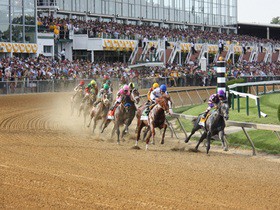 Cheap Preakness Stakes Tickets